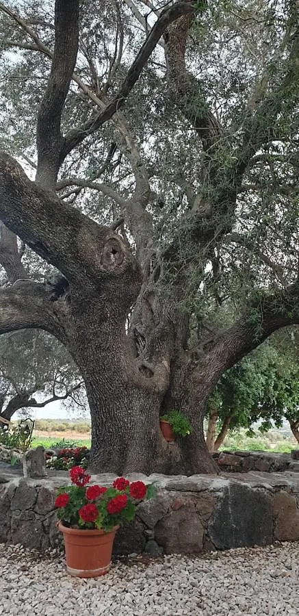 Agriturismo Su Barcu Cala Gonone 0*,  Italy