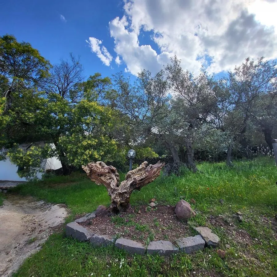 Agriturismo Su Barcu Cala Gonone